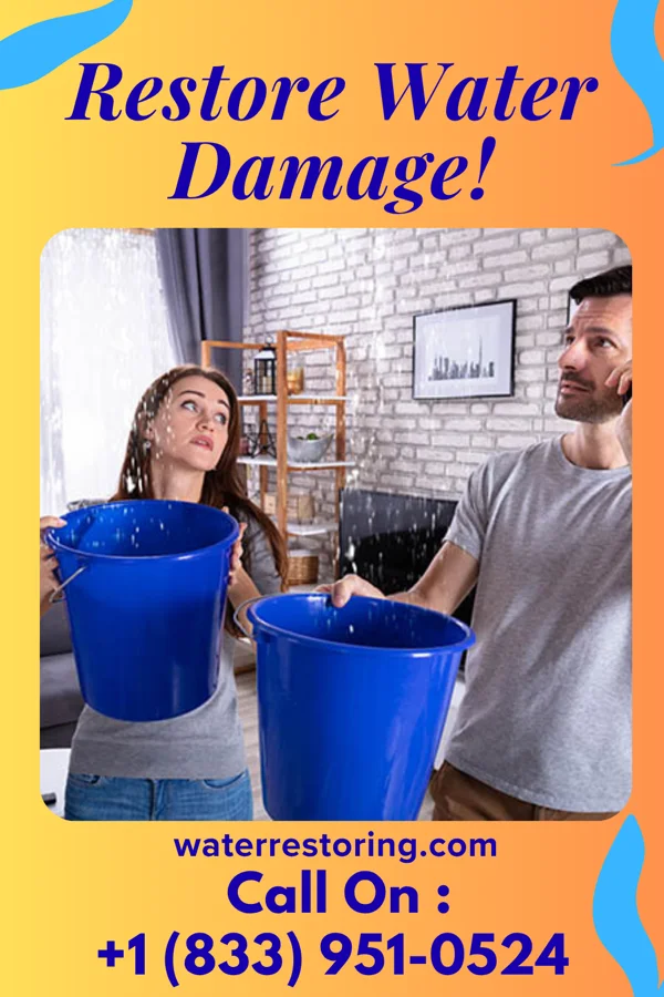 water restoration Apex Storm Recovery Group Plainedge
