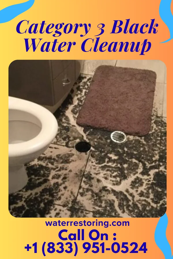 Category 3 Black Water Cleanup in Plainedge, NY