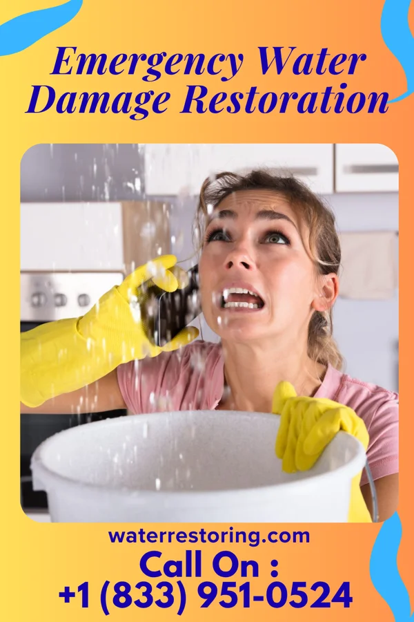 Emergency Water Damage Restoration in Plainedge, NY